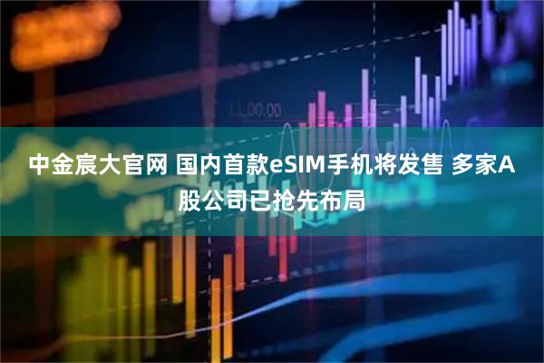 中金宸大官网 国内首款eSIM手机将发售 多家A股公司已抢先布局