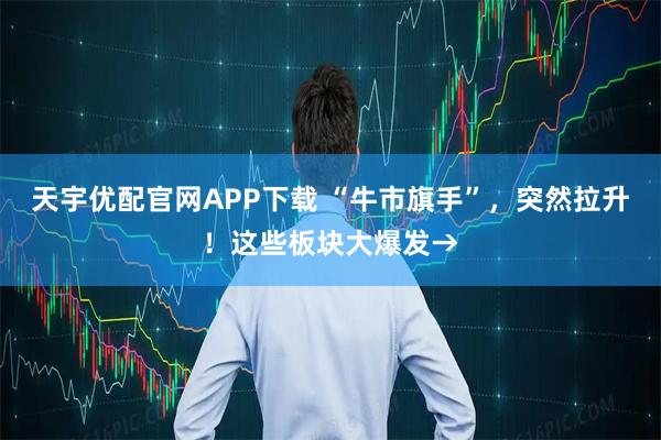 天宇优配官网APP下载 “牛市旗手”，突然拉升！这些板块大爆发→