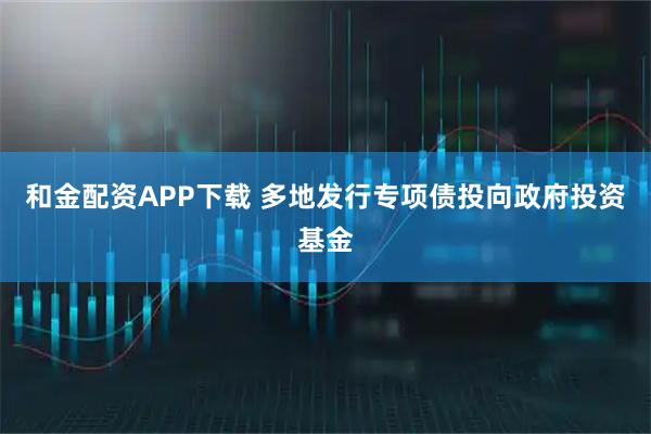 和金配资APP下载 多地发行专项债投向政府投资基金