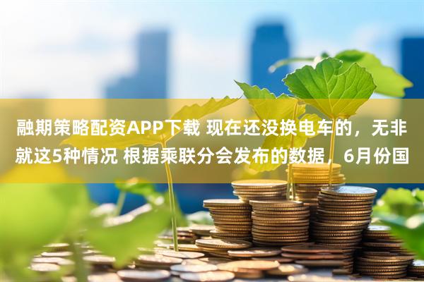 融期策略配资APP下载 现在还没换电车的，无非就这5种情况 根据乘联分会发布的数据，6月份国